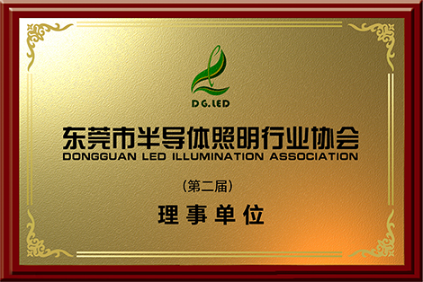 东莞市
                                                半导体照明行业协会