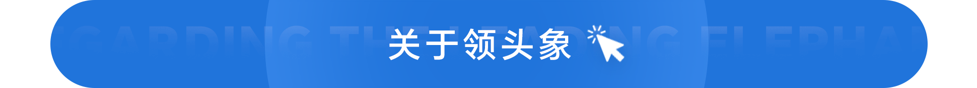 关于领头像